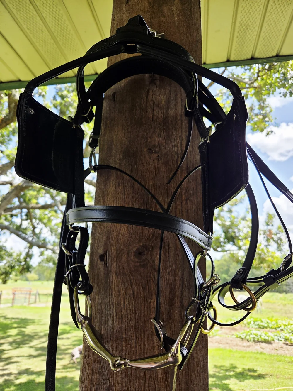 Amish Made Driving Bridle Brahma Webb/Biotane Full Horse w/bit exceptional